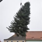Velké náměstí v Písku už zdobí vánoční strom. Důvodem je instalace ledového kluziště