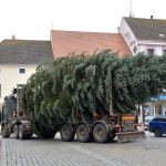 Velké náměstí v Písku už zdobí vánoční strom. Důvodem je instalace ledového kluziště