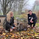 Muž zachránil mývala. Přivezl ho do táborské zoo, která jej jako jediná zoologická zahrada v Česku může chovat