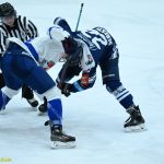 VIDEO: Extraligoví kohouti porazili lídra soutěže! Rozhodující gól vstřelil Vítkovicím z přesilovky Slívko