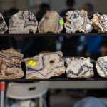 Největší mineralogická burza na jihu Čech se koná již tuto sobotu v Písku