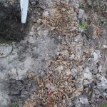 Dělníci na Budějovicku našli nábojnice. Pyrotechnici pak vykopali 230 kilogramů munice