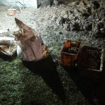 Dělníci na Budějovicku našli nábojnice. Pyrotechnici pak vykopali 230 kilogramů munice