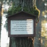Symbolem setkání sousedů z Cehnic a Dunovic se stal dub na rozcestí