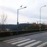 Nad silnici v Táboře někdo natáhl silonový vlasec. Zamotala se do něj kavka. Hasiči museli zastavit dopravu