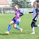 Dorostenky Hradiště neměly s Třebeší nárok