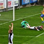 Dynamo doma remizovalo s Teplicemi, Krch vstřelil premiérový ligový gól