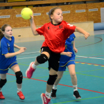 Miniházená v Milevsku: Rekordní účast bez tlaku na výsledky