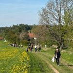 V Jistebnici odvezli čarodějnici z pranýře na Magdalénu. Tam čekala hranice