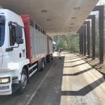 Dopravci zvířat mohou vjet do České republiky přes Halámky. Vozidla dezinfikují na hranici hasiči