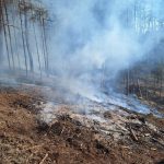 Hasiči vyjížděli k požáru hrabanky v nepřístupném terénu na Budějovicku