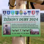 Cestu Za Ptáčkovnou u Písku lemují nově Žižkovy duby