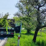 Parta z ŘSD slavila Svátek práce prací. Kolem silnice I/19 přibyly další stromky