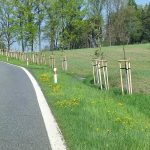 Parta z ŘSD slavila Svátek práce prací. Kolem silnice I/19 přibyly další stromky
