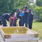 V okrsku Hněvanice na Písecku vyhráli hasičskou soutěž muži Dobrošova a ženy Klisince