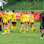 Psi přerušili druholigové utkání žen mezi Dynamem a Spartou. Dostali žlutou kartu