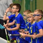 Největší florbalový turnaj na jihu Čech slavil jubileum