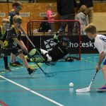 Největší florbalový turnaj na jihu Čech slavil jubileum