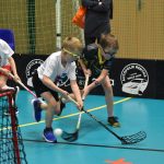Největší florbalový turnaj na jihu Čech slavil jubileum