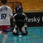 Největší florbalový turnaj na jihu Čech slavil jubileum