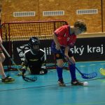 Největší florbalový turnaj na jihu Čech slavil jubileum