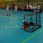 Největší florbalový turnaj na jihu Čech slavil jubileum