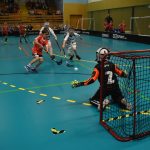 Největší florbalový turnaj na jihu Čech slavil jubileum