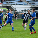 Vládci jihu a Šťástka do repre! Milevšťáci ve finále poháru završili mistrovský double