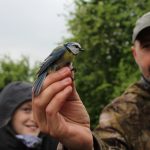 Nepřízeň počasí zájemce o ptačí říši neodradila