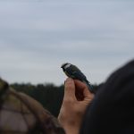 Nepřízeň počasí zájemce o ptačí říši neodradila