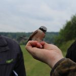 Nepřízeň počasí zájemce o ptačí říši neodradila