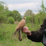 Nepřízeň počasí zájemce o ptačí říši neodradila