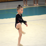 Moderní gymnastky uspořádaly jubilejní 30. ročník Milevského pohárku