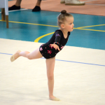 Moderní gymnastky uspořádaly jubilejní 30. ročník Milevského pohárku