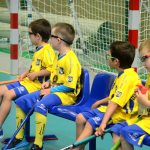 Minipřípravka zakončila sezonu doma v Milevsku