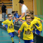 Minipřípravka zakončila sezonu doma v Milevsku