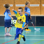 Minipřípravka zakončila sezonu doma v Milevsku