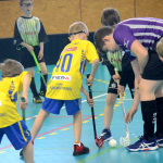 Minipřípravka zakončila sezonu doma v Milevsku