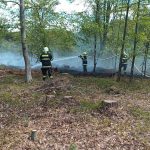 Hasiči vyjížděli v pondělí k požáru lesa u Dolního Dvořiště, dnes hořelo u Hlinice na Táborsku