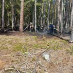Hasiči vyjížděli v pondělí k požáru lesa u Dolního Dvořiště, dnes hořelo u Hlinice na Táborsku