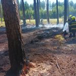 Hasiči vyjížděli v pondělí k požáru lesa u Dolního Dvořiště, dnes hořelo u Hlinice na Táborsku
