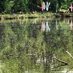 Hluboká spojila při závodech rybáře s handicapem i bez. Vítěz měl za čtyři hodiny dvanáct úlovků
