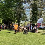 Ve Veselí stavěli májku pomocí křížů a byli odhodlaní hlídat do rána
