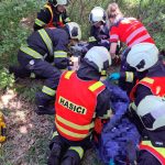Při čelním nárazu dodávky do stromu u Pištína se vážně zranil řidič