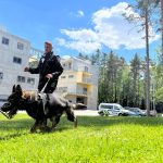 Úspěchy strakonických psovodů. Jiří Pixa a pes Art ovládli republikové mistrovství, v kraji si došli pro stříbro