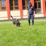 Úspěchy strakonických psovodů. Jiří Pixa a pes Art ovládli republikové mistrovství, v kraji si došli pro stříbro
