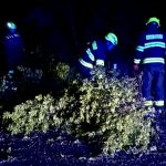 Jihočeským krajem se prohnala v noci bouřka. Vítr lámal stromy, škodil na domech