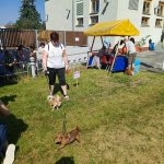 Pidi frajeři a pidi roštěnky zaplnili prostor u Kulturního domu v Písku