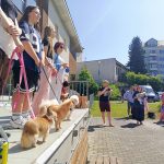 Pidi frajeři a pidi roštěnky zaplnili prostor u Kulturního domu v Písku