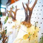 Ve Škvořeticích začala přehlídka mysliveckých trofejí